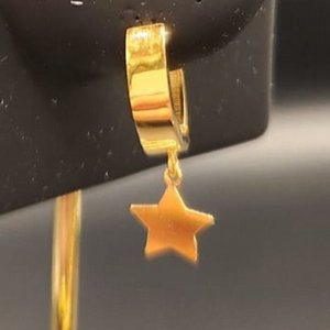   21  21K Gold Star Earrings